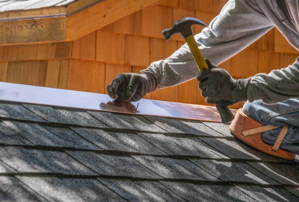 Best Skylight Installation and Repair  in Lake Wildwood, CA