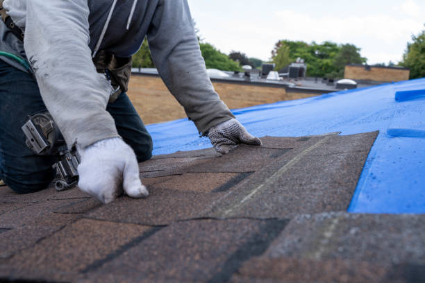 Best Emergency Roof Repair Services  in Lake Wildwood, CA