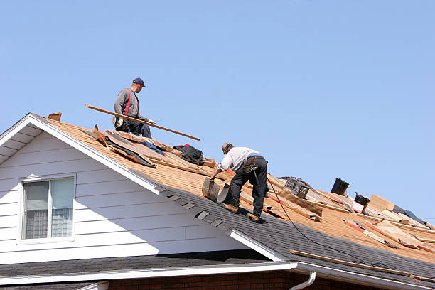 Best Metal Roofing Installation  in Lake Wildwood, CA
